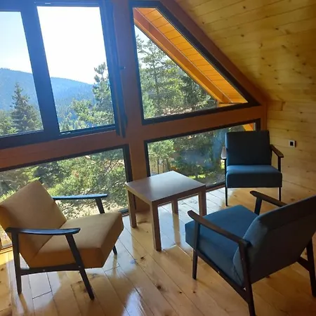 Brvnare Libero Tara * Bajina Basta